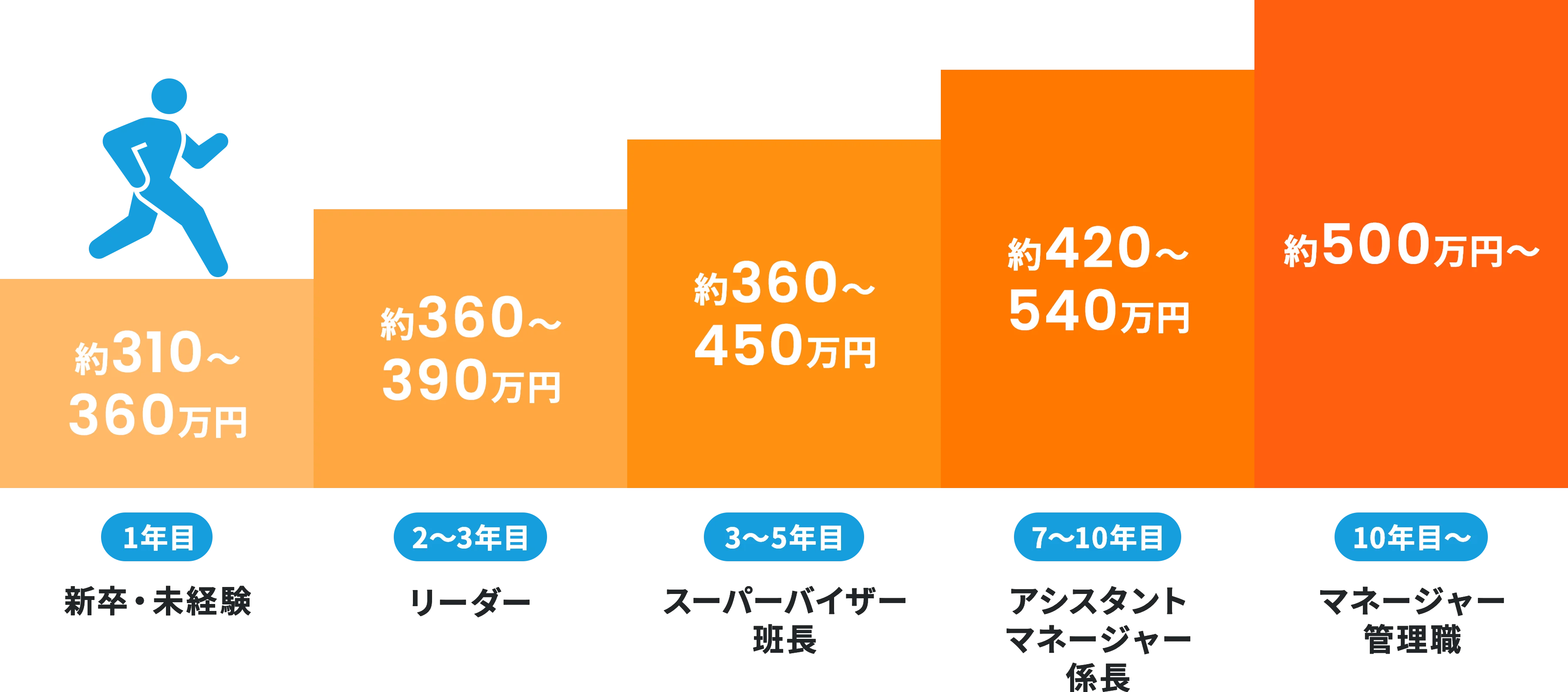 段階的なキャリアアップ